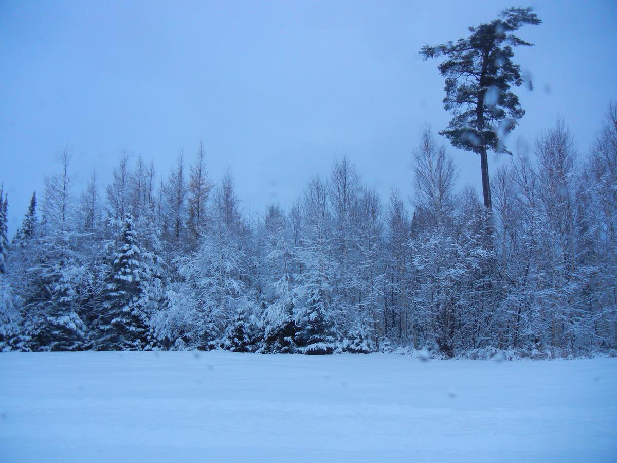 Shores Of Deer Lake South River Exterior photo